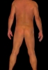 Profile Thumbnail