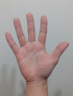 Dedos endiabrados à procura de mulheres 