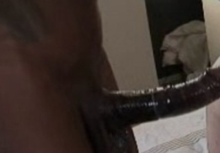 Homólogo 