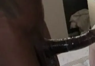 Homólogo 