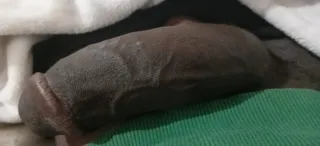 Acompanhante sexual