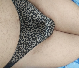 Procuro novinho 