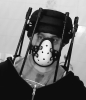 Profile Thumbnail